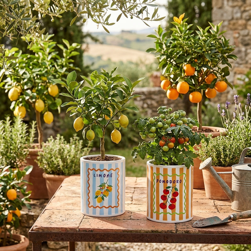 Ad Trend Vaso Decorativo in Ceramica Assortito Ø11xH14 cm 1 Pz – Complemento d'Arredo per Fiori e Piante, Decorazione per la Casa