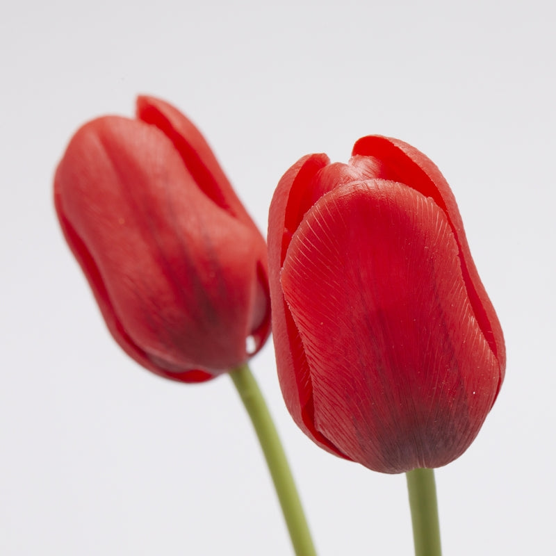 EDG Enzo De Gasperi Strauß 5 Tulpen mit Blättern H 48 cm Rot