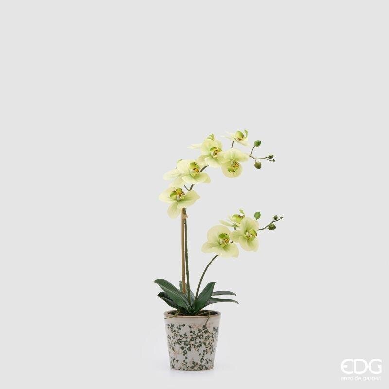 EDG Enzo De Gasperi Orchidea Phalaenopsis x2 mit Knospe und Vase Kunstpflanze H 60 cm Gelb Grün