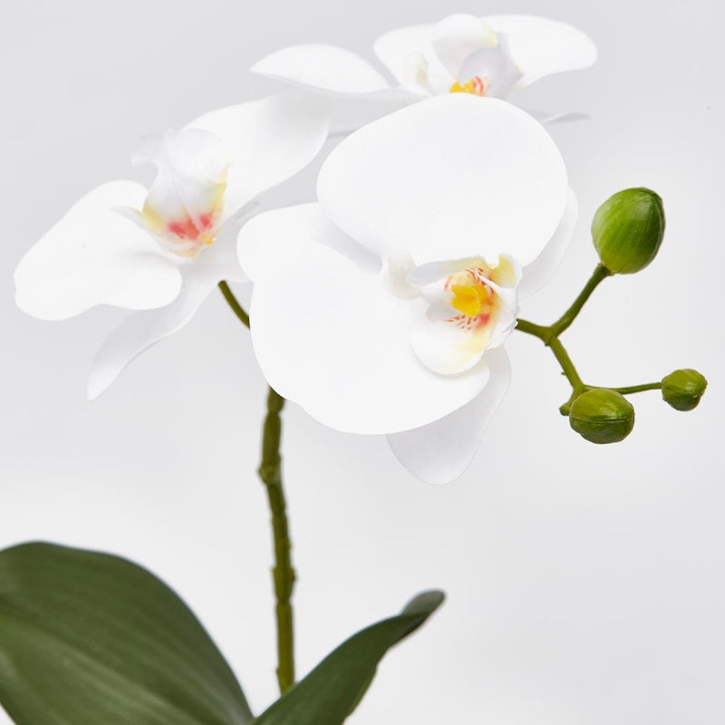 EDG Enzo De Gasperi Orchidee Phalaenopsis Kunstpflanze mit Kunstoff-Topf H 33 Cm Weiß