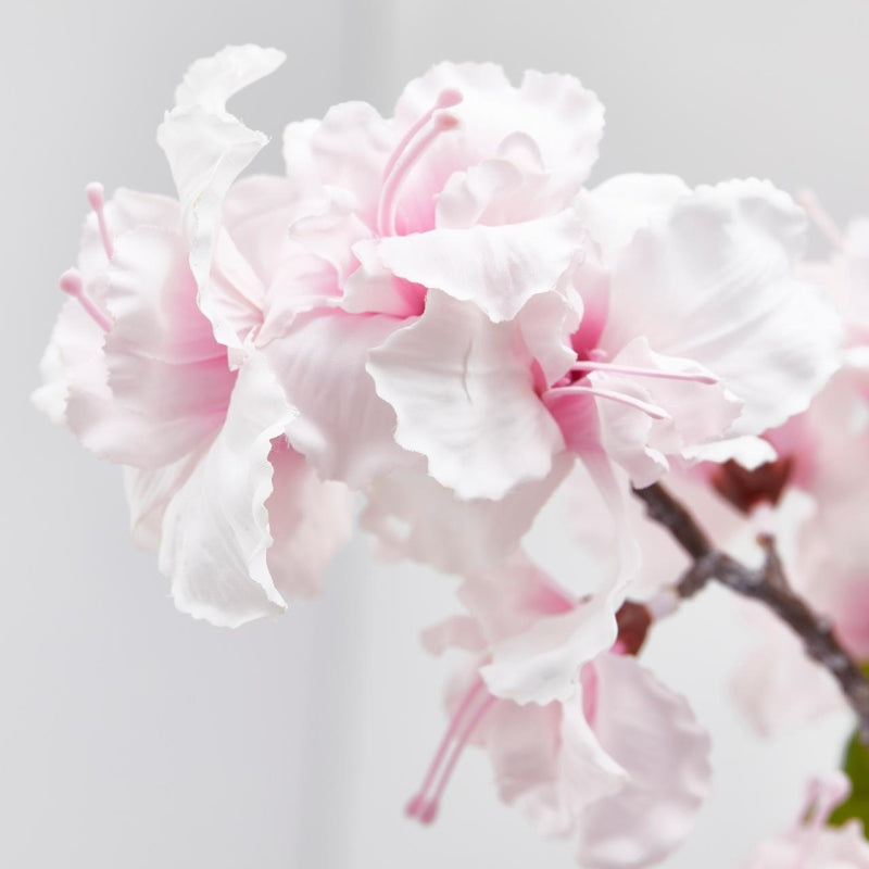 EDG Enzo De Gasperi Sakura-Zweig Künstliche japanische Kirschblüte Ass. H 105 Cm Rosa Creme 1 Stk