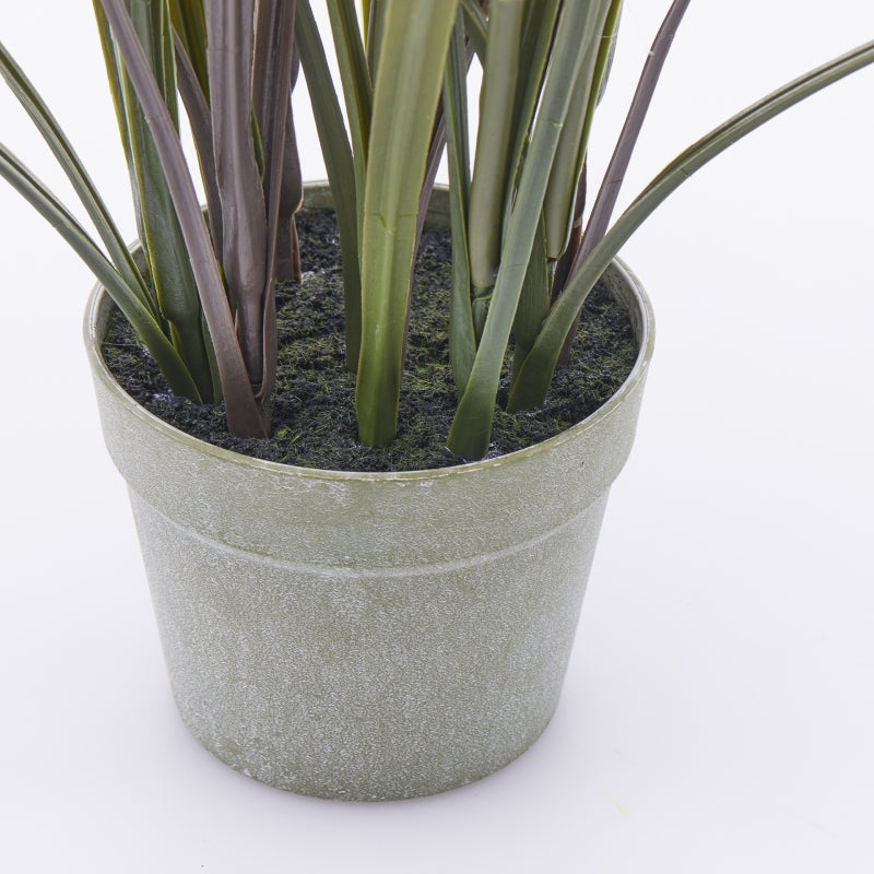 EDG Enzo De Gasperi Festuca con Vaso H 122 Cm Colore Verde