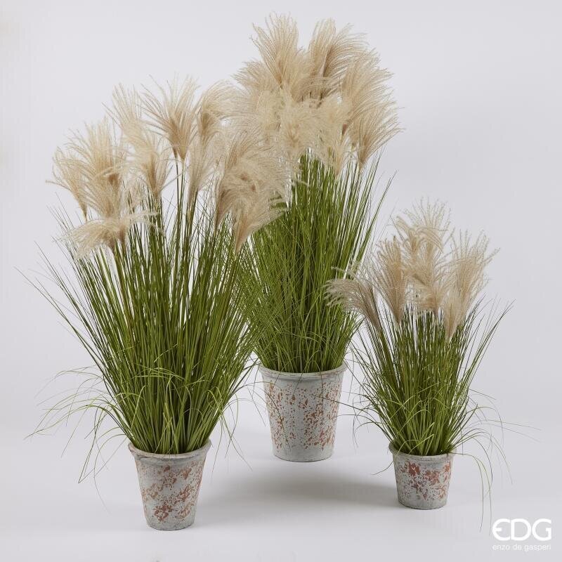 EDG Enzo De Gasperi Festuca Artificiale H80 cm con Vaso H10xØ13 cm – Pianta Ornamentale Decorativa per Interni