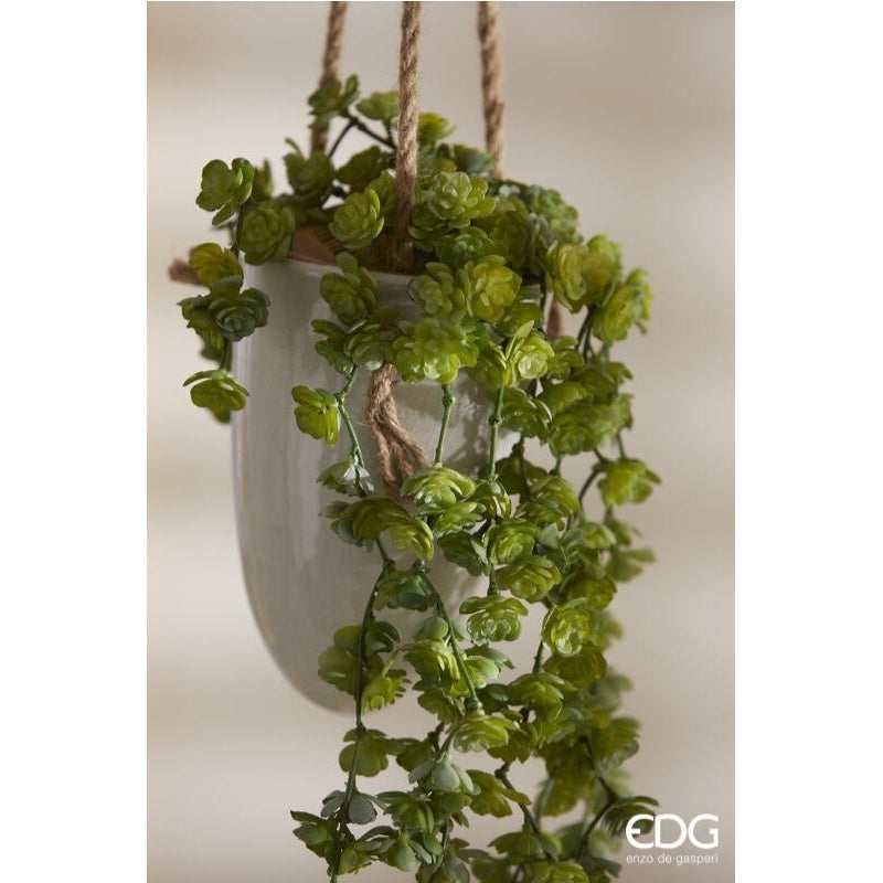 EDG Enzo De Gasperi Echeveria Olis Hängender Strauch H 44 cm Kunstpflanze Hellgrün