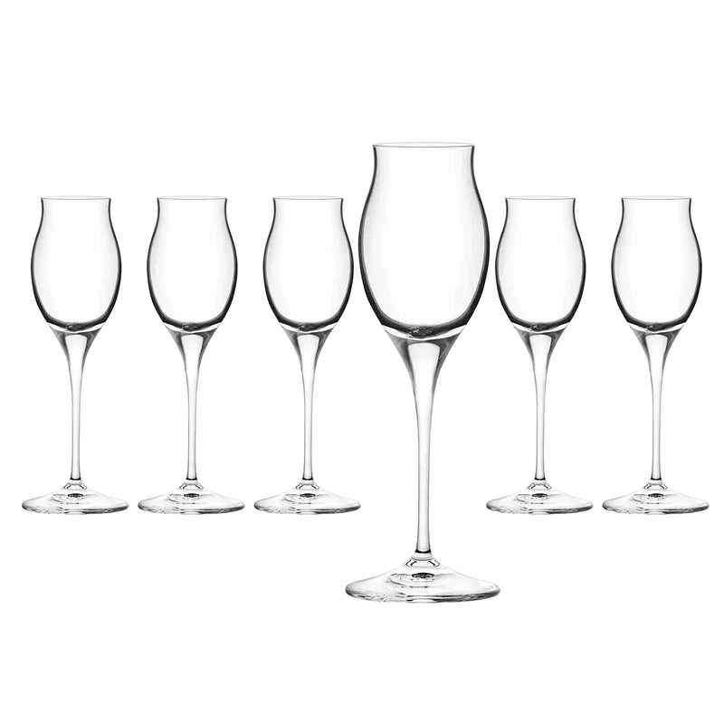 RCR Cristalleria Italiana Invino - I10 Likör - Set von 6 Likorgläsern aus Glas