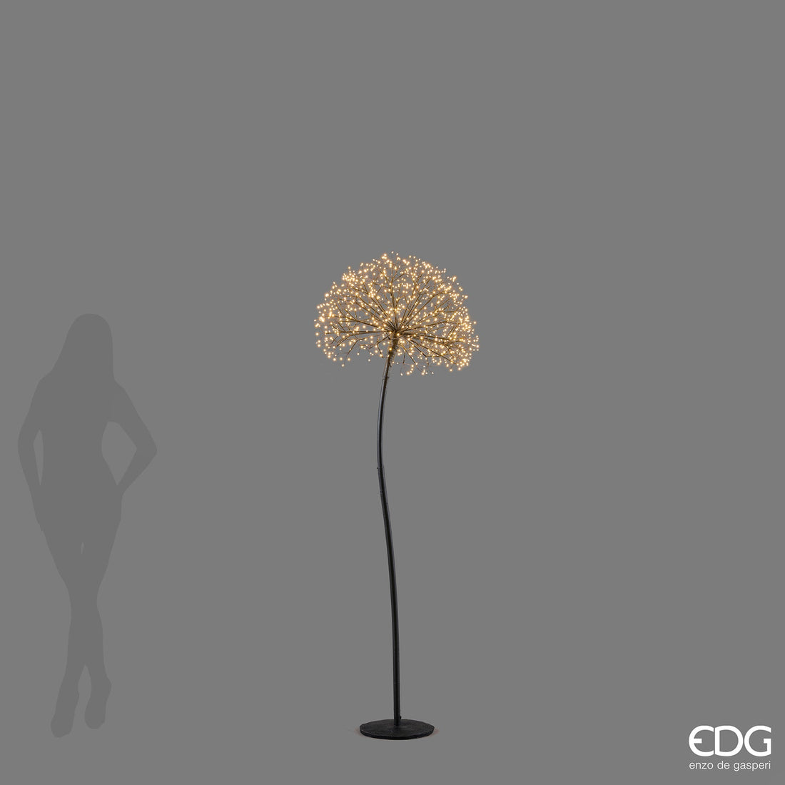 EDG Enzo De Gasperi Decoro Tarassaco Rich Schwarz 912 MicroLED H180 Ø50 cm IP44 – Leuchtende Weihnachtsdekoration