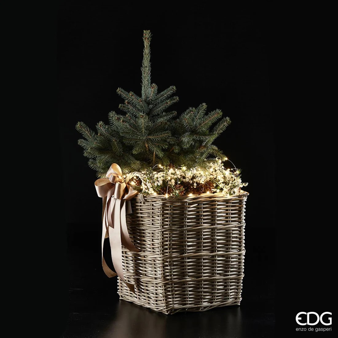 EDG Enzo De Gasperi Weihnachtslichter MicroLed X 20 140 + 50 Cm Elfenbein