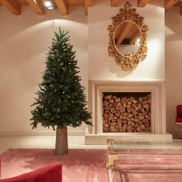 EDG Enzo De Gasperi Albero di Natale Pino Merano H 180 Cm D 117 Cm