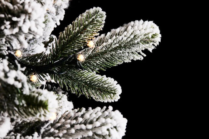 EDG Enzo De Gasperi Albero di Natale Pino Merano Innevato H 240 Cm D 148 Cm con 950 Led Bianco Verde