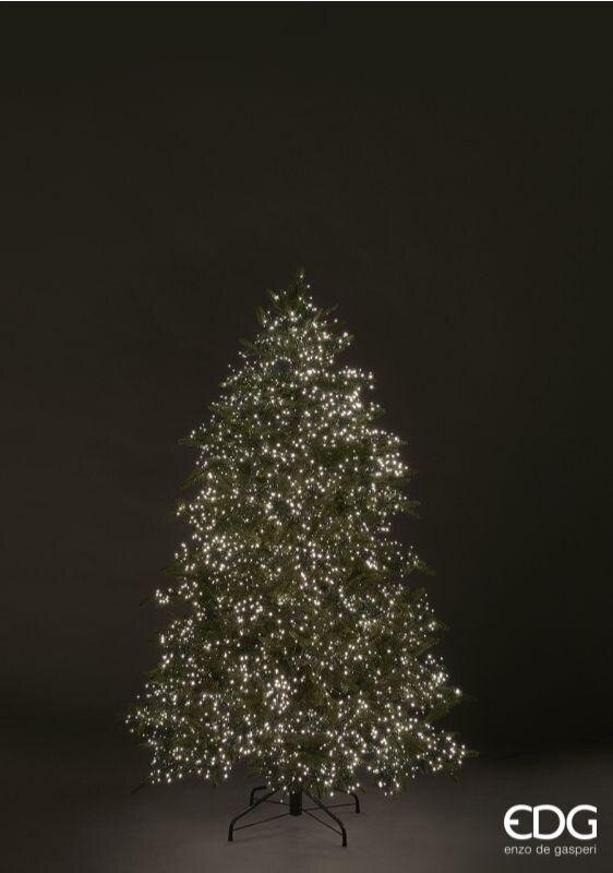 EDG Enzo De Gasperi Christmasbaum Fichte Spark H 210 Cm D 141 Cm 6.670 LED Grün