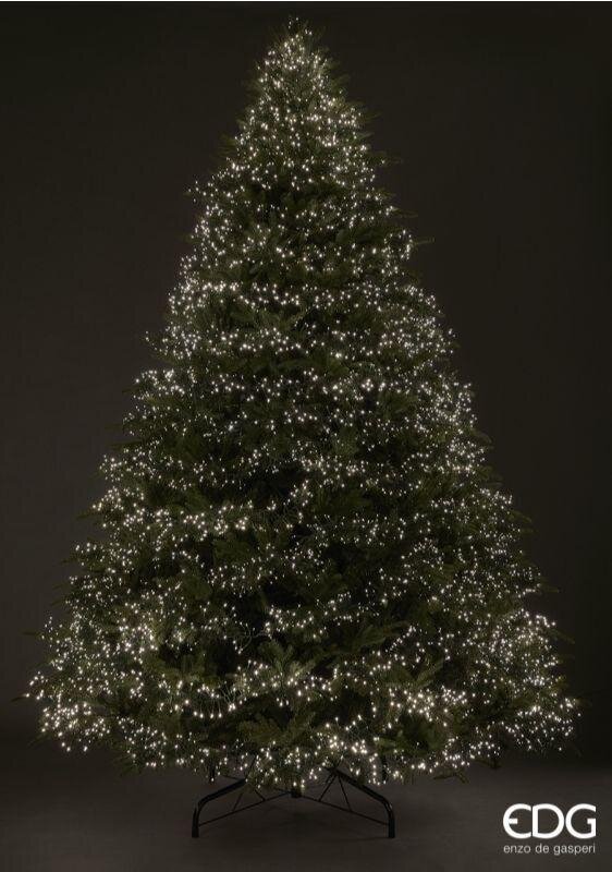 EDG Enzo De Gasperi Weihnachtsbaum Fichte Spark H 300 cm D 205 cm 10.000 MiniLED Grün