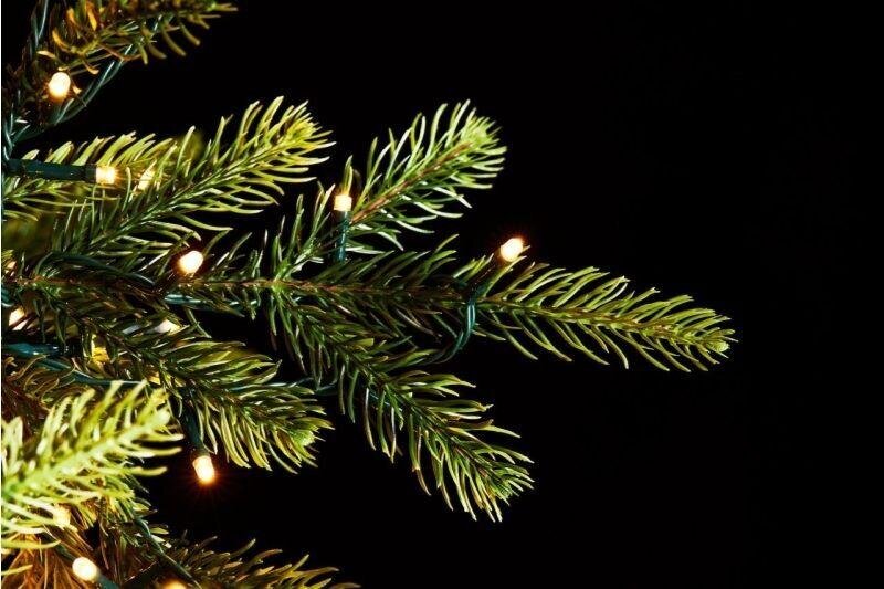 EDG Enzo De Gasperi Weihnachtsbaum Kiefer Luxury H 180 Cm D 136 Cm mit 3.000 Led Grün