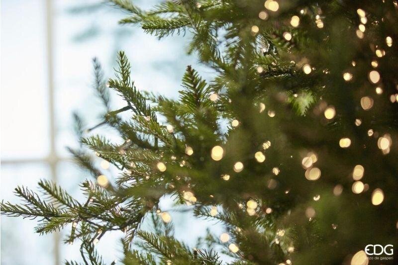 EDG Enzo De Gasperi Weihnachtsbaum Kiefer Luxury H 300 cm D 186 cm mit 7.000 LED Grün