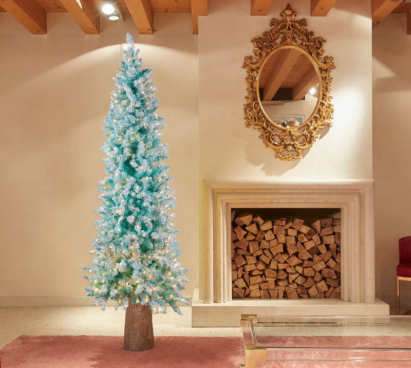 EDG Enzo De Gasperi Baumständer für Weihnachtsbaum Stamm für Kiefer H65 D32 18 kg