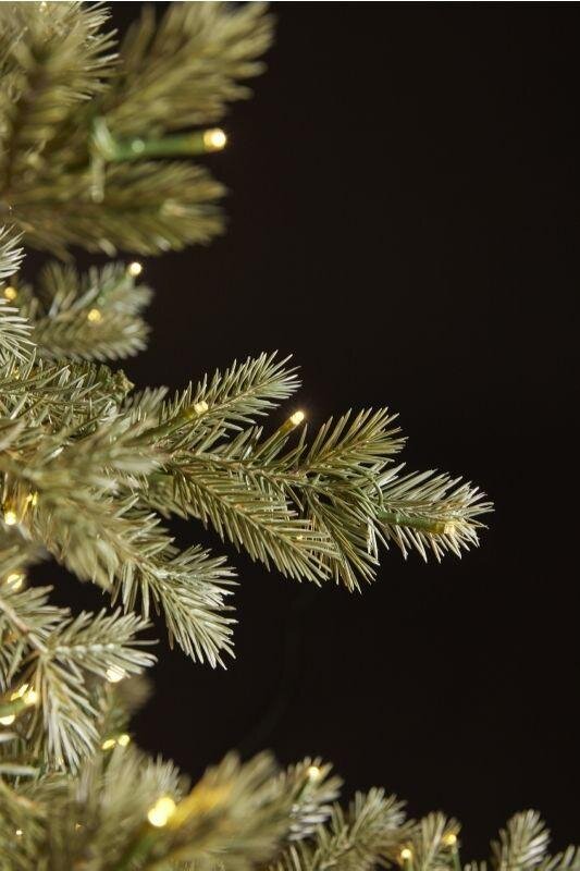 EDG Enzo De Gasperi Weihnachtsbaum Silberkiefer 4.000 LED H 210 cm D 149 cm IP 44
