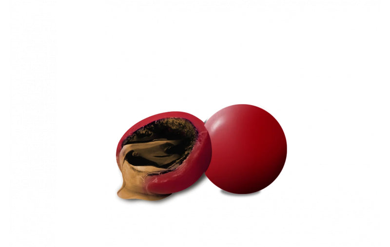 Maxtris Dragees Liquorelli Rhum 500 Gr Cubanischer Winkel