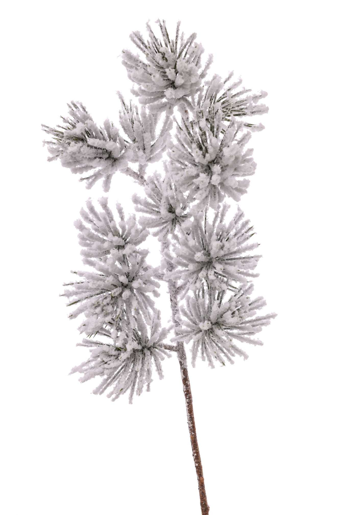 ARPIMEX Weihnachtszweig aus schneebedeckter Kiefer H 51 cm