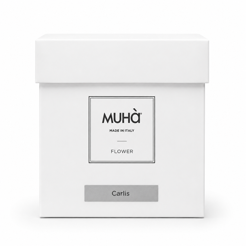 Muhà Profumateur Diffusor Kamelie Bomboniera Carlis 30ml