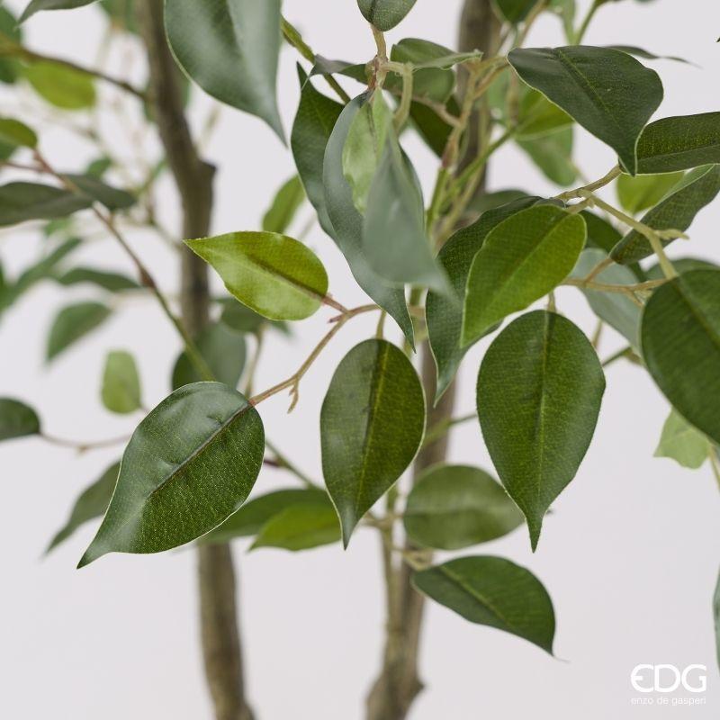 edg enzo de gasperi edg enzo de gasperi pianta artificiale ficus vogue con vaso h 150 cm pianta decorativa realistica design moderno ean 8059824655240