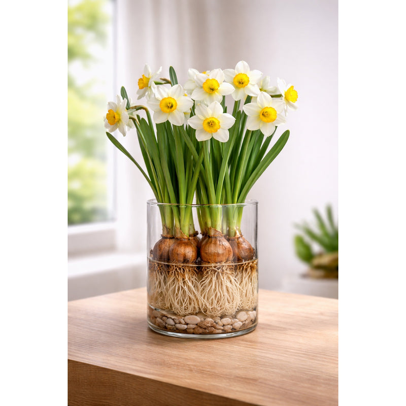 regalo italiano regalo italiano vaso in vetro lyon d 15 cm h15 cm vaso decorativo moderno per fiori e arredo casa ean 8057586048461