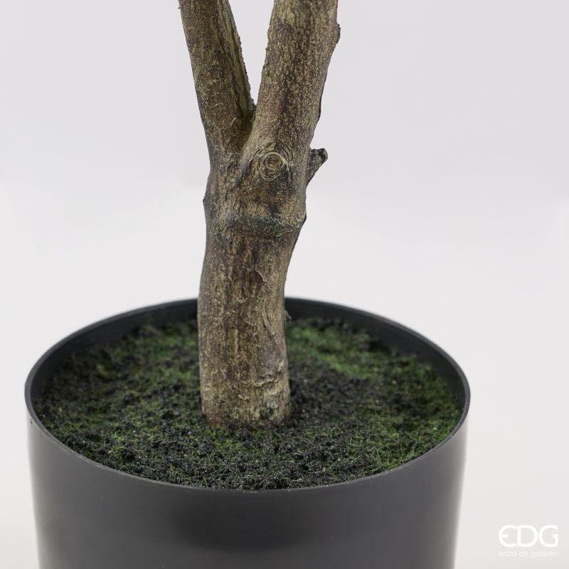 edg enzo de gasperi edg enzo de gasperi pianta artificiale ficus vogue con vaso h 150 cm pianta decorativa realistica design moderno ean 8059824655240