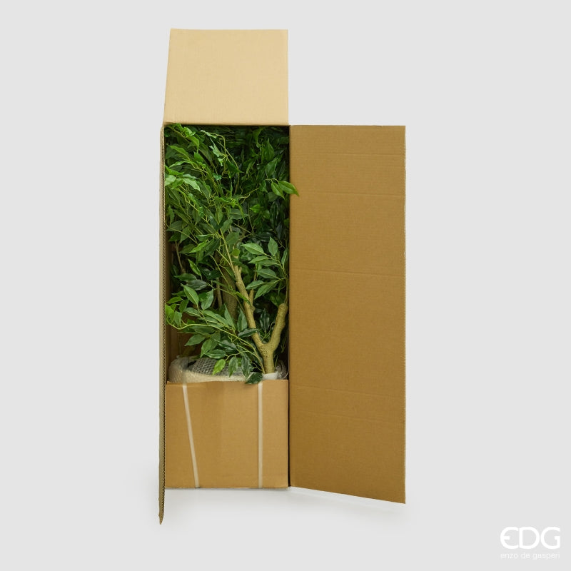 edg enzo de gasperi edg enzo de gasperi ficus beniamino vogue con vaso pianta artificiale h 170 cm verde ean 8059824607331