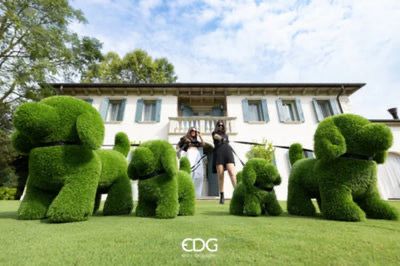 EDG Enzo De Gasperi Decoro Erba Cane H60 L34 L65 Green