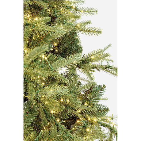 Bizzotto Albero di Natale Ritter H 210 cm con 3567 Rami e 6000 LED