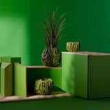 EDG Enzo De Gasperi Vaso Chakra Piselli Verdi H 31 Cm D 34 Cm Green