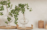 edg enzo de gasperi edg enzo de gasperi vaso anfora righe h 40 cm d 26 cm vetro green ean 8059824431226
