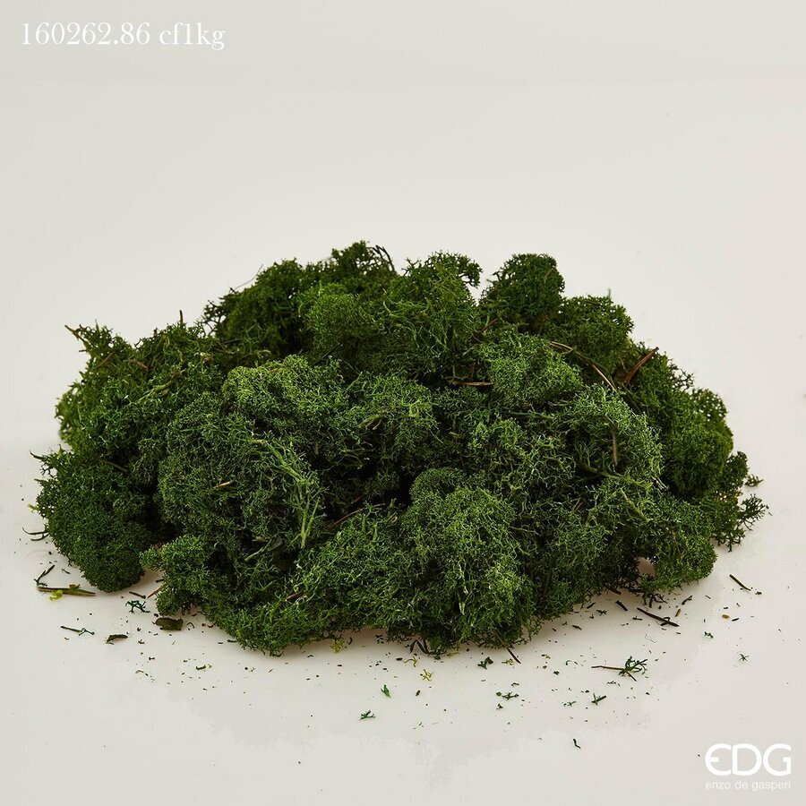 EDG Enzo De Gasperi Muschio Lichene Stabilizzato Artificiale Verde Scuro – Muschio Decorativo Natalizio