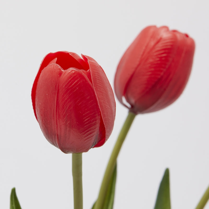 EDG Enzo De Gasperi Strauß 5 Tulpen mit Blättern H 40 cm Rot