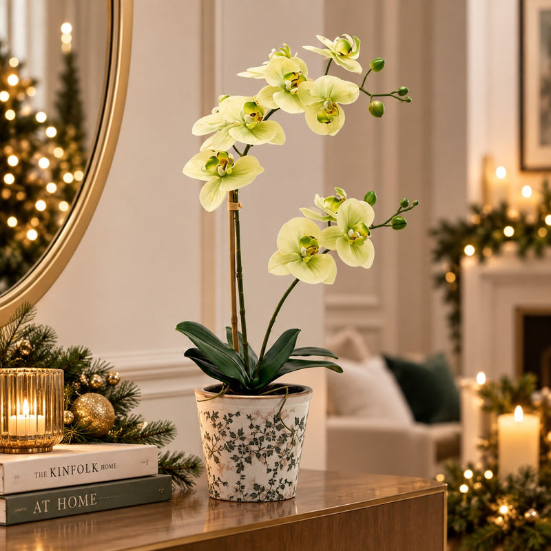 EDG Enzo De Gasperi Orchidea Phalaenopsis x2 mit Knospe und Vase Kunstpflanze H 60 cm Gelb Grün