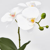 EDG Enzo De Gasperi Orchidee Phalaenopsis Kunstpflanze mit Kunstoff-Topf H 33 Cm Weiß