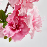 EDG Enzo De Gasperi Sakura-Zweig Künstliche japanische Kirschblüte Ass. H 105 Cm Rosa Creme 1 Stk
