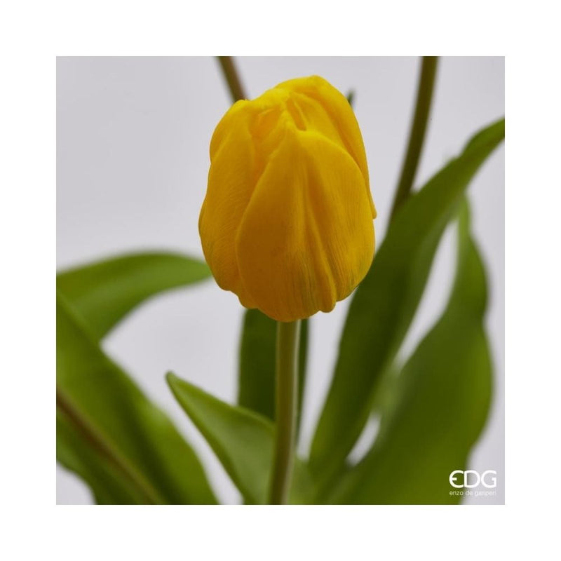 EDG Enzo De Gasperi Strauß aus 5 Tulpen Olis Ass. H 40 Cm Gelb 1 Stk