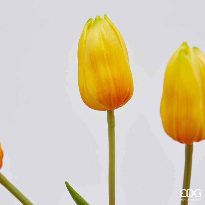 EDG Enzo De Gasperi Strauß aus 5 Tulpen Olis Ass. H 40 Cm Gelb 1 Stk