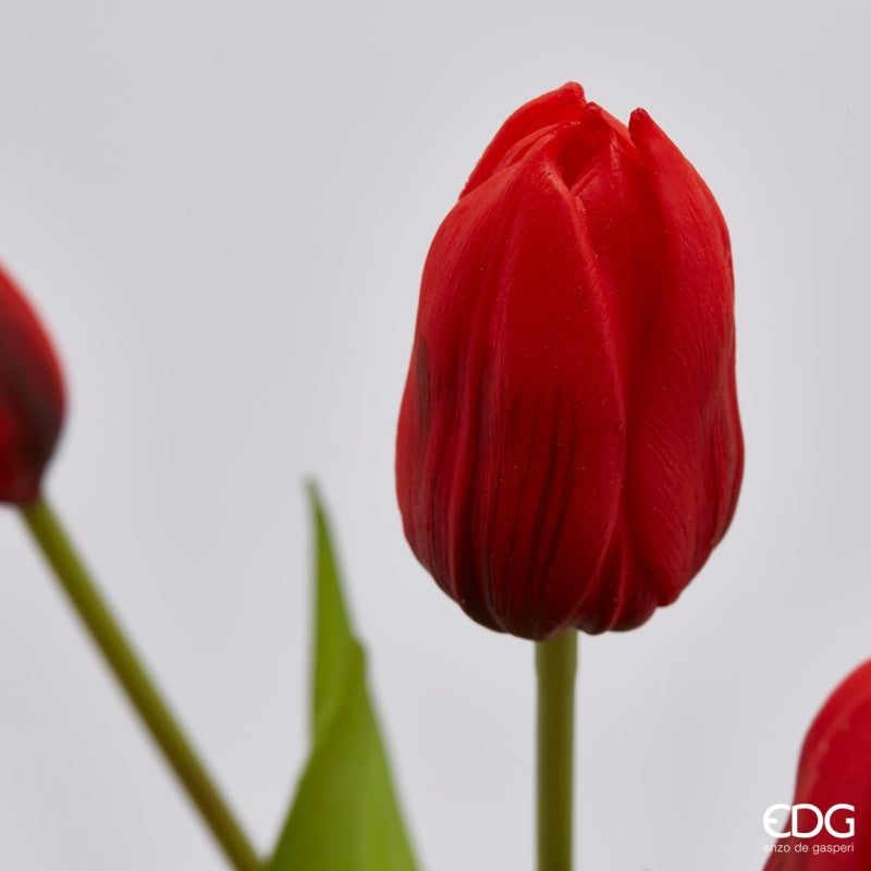 EDG Enzo De Gasperi Strauß aus 5 Tulpen Olis Ass. H 40 cm Orange 1 Stk.