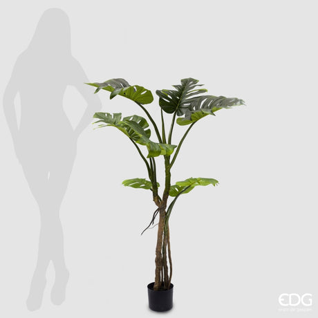 EDG Enzo De Gasperi Monstera Slim Mit künstlichem Topf H 130 cm Grün