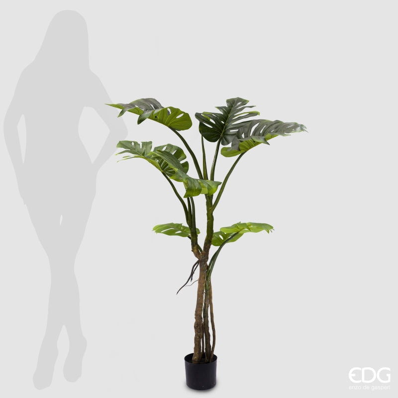 EDG Enzo De Gasperi Monstera Slim Mit künstlichem Topf H 130 cm Grün