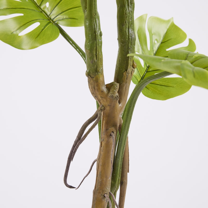 EDG Enzo De Gasperi Monstera Slim Mit künstlichem Topf H 130 cm Grün
