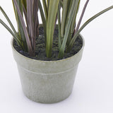 EDG Enzo De Gasperi Festuca con Vaso H 122 Cm Colore Verde