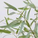 edg enzo de gasperi edg enzo de gasperi eucalipto con vaso artificiale h 200 cm light green ean 8059824377760