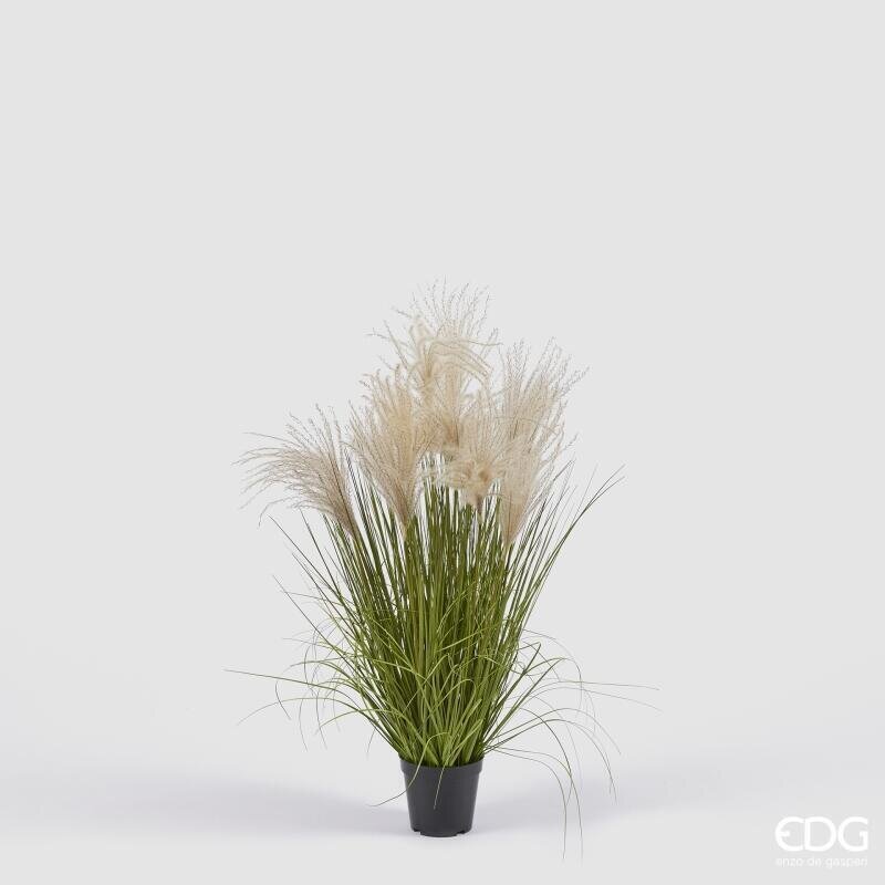 EDG Enzo De Gasperi Festuca Artificiale H80 cm con Vaso H10xØ13 cm – Pianta Ornamentale Decorativa per Interni
