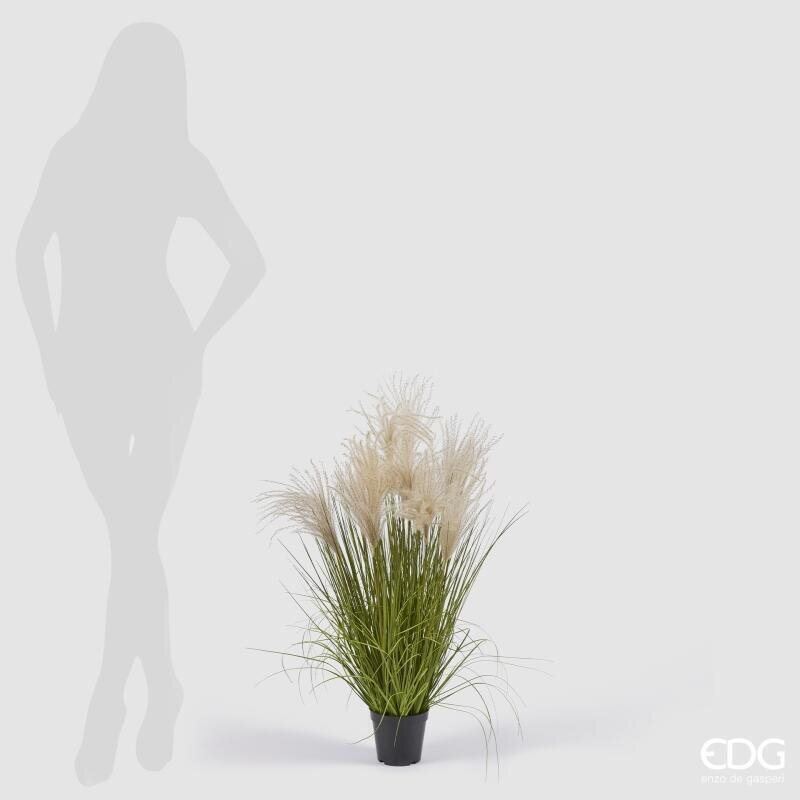 EDG Enzo De Gasperi Festuca Artificiale H80 cm con Vaso H10xØ13 cm – Pianta Ornamentale Decorativa per Interni