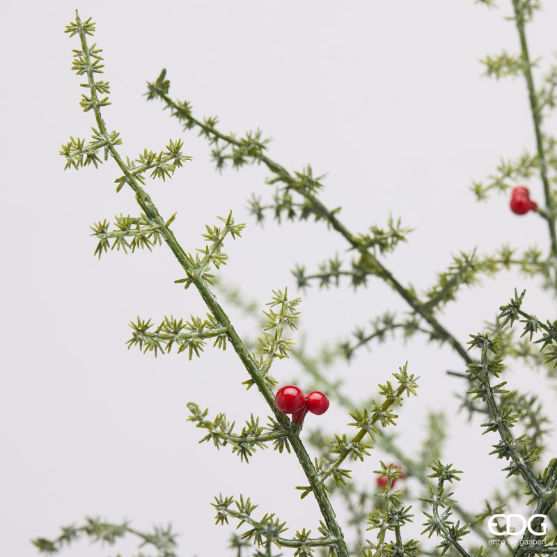 EDG Enzo De Gasperi Asparago Selvatico con Bacche H70 cm – Decorazione di Natale