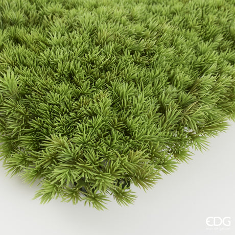 EDG Enzo De Gasperi Hecke Moos Kunststoff UV-beständig 100x100 cm Wasserdicht – Grüne Dekoration