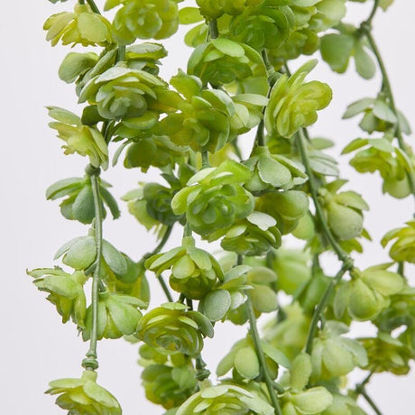 EDG Enzo De Gasperi Echeveria Olis Hängender Strauch H 44 cm Kunstpflanze Hellgrün
