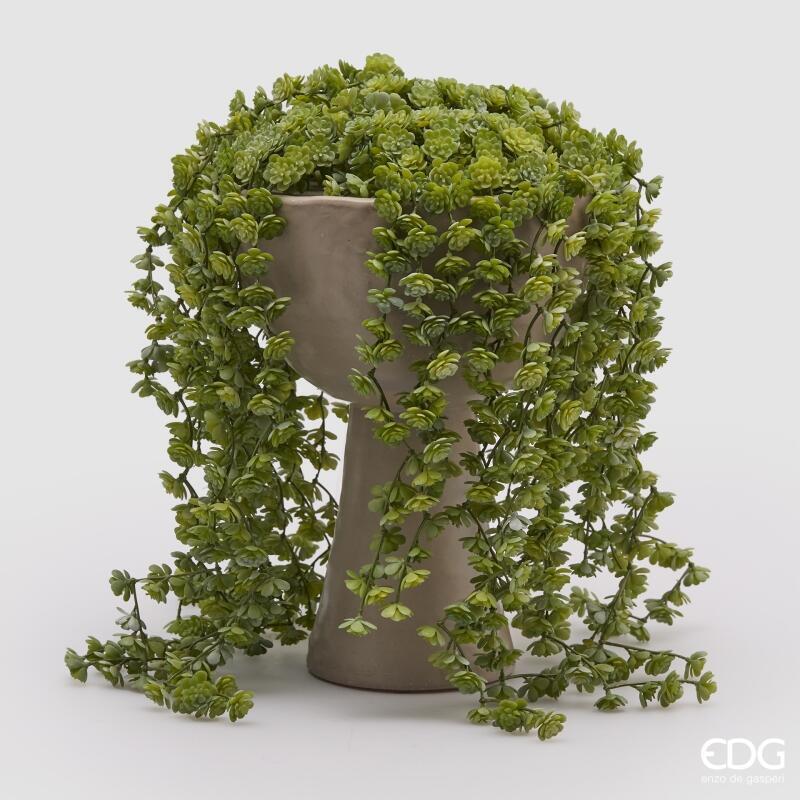 EDG Enzo De Gasperi Echeveria Olis Hängender Strauch H 44 cm Kunstpflanze Hellgrün