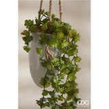 EDG Enzo De Gasperi Echeveria Olis Hängender Strauch H 44 cm Kunstpflanze Hellgrün